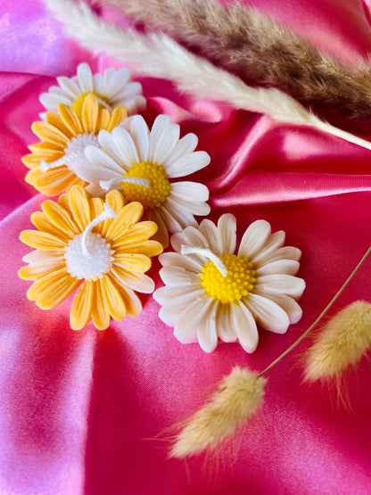 Daisy bloom flower candles